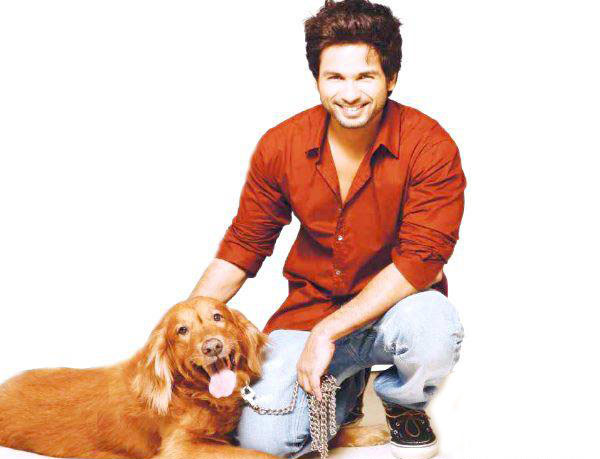 Shahid Kapoor loses his pet dog